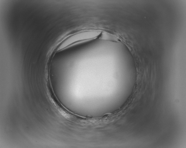 X0000071900005200608041355