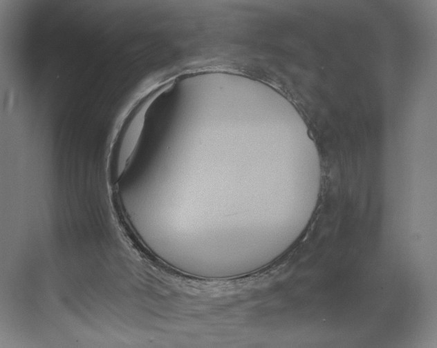 X0000071900006200608041355