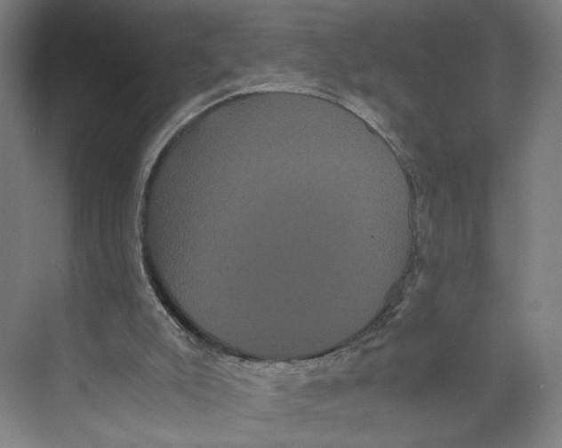 X0000071900007200608041355