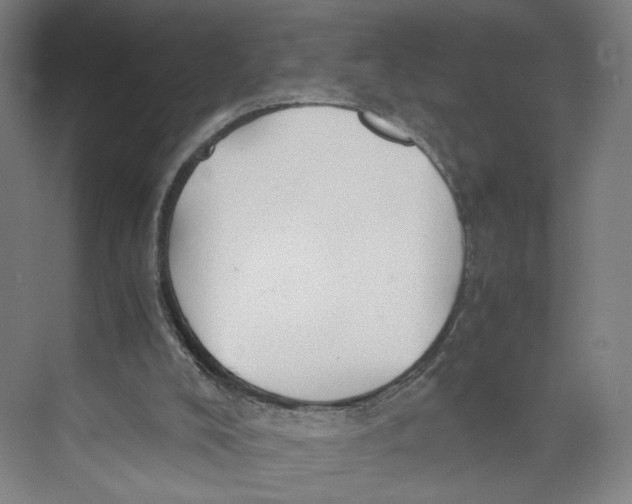 X0000071900008200608041355