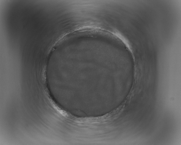 X0000071900009200608041355