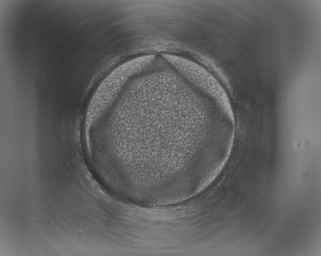 X0000071900010200608041355