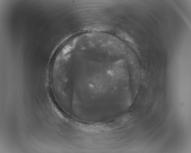 X0000071900012200608041355