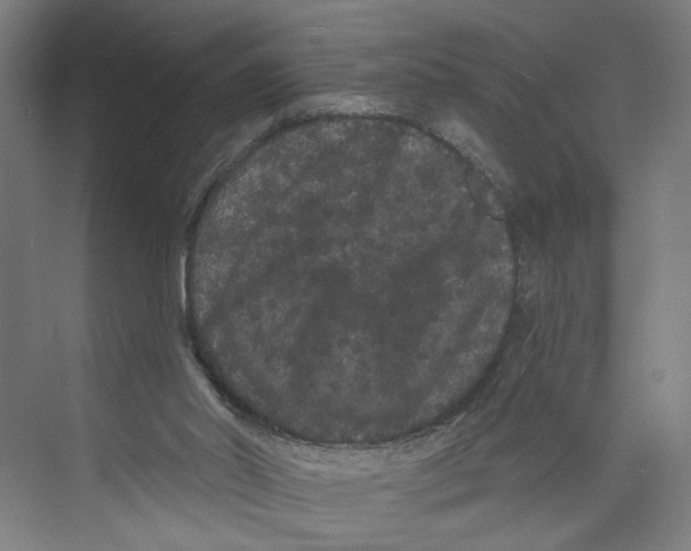 X0000071900014200608041355