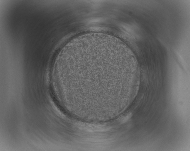 X0000071900016200608041355