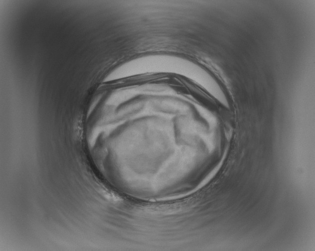 X0000071900017200608041355