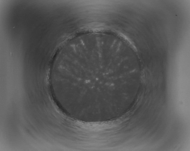 X0000071900018200608041354