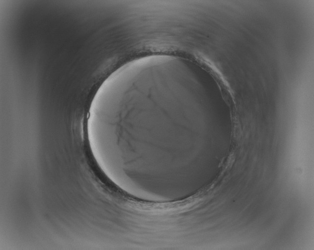 X0000071900019200608041354