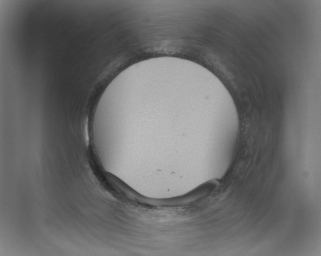 X0000071900020200608041354