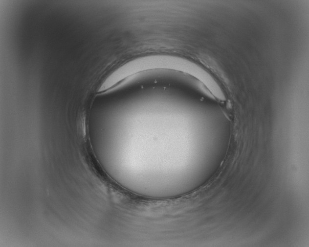 X0000071900021200608041354