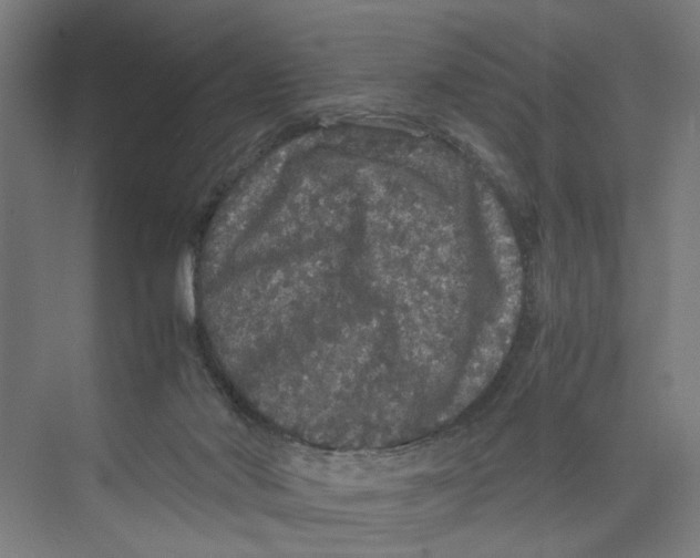 X0000071900022200608041354