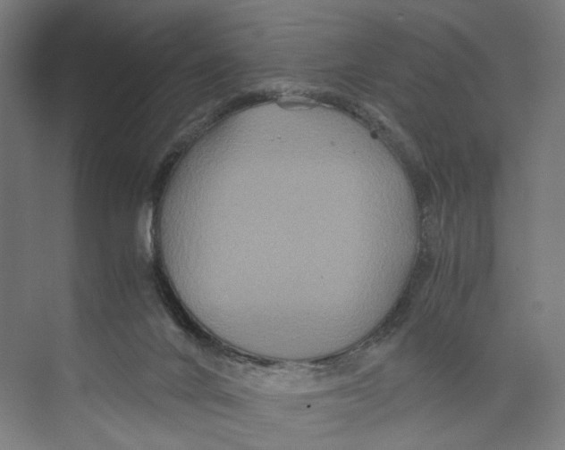 X0000071900024200608041354