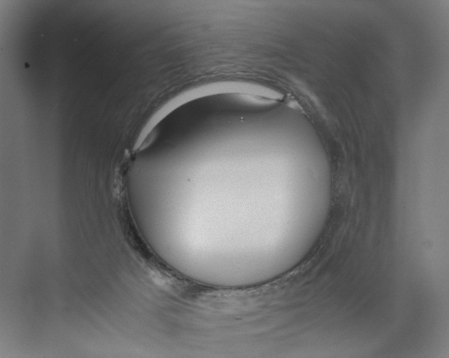 X0000071900025200608041354