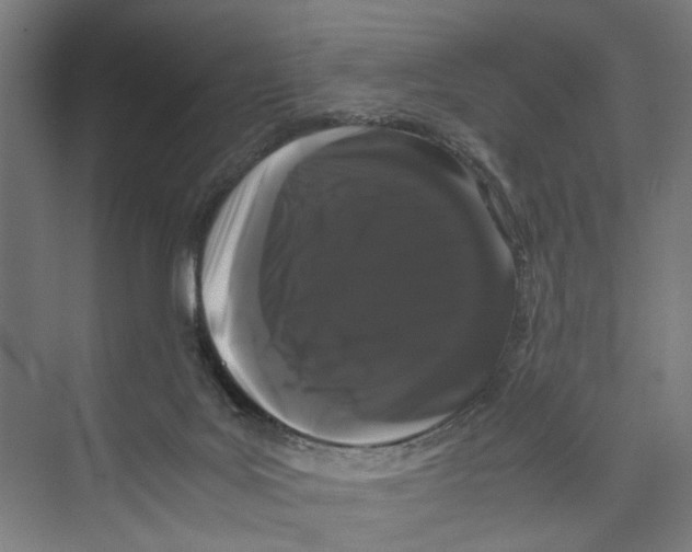 X0000071900027200608041354