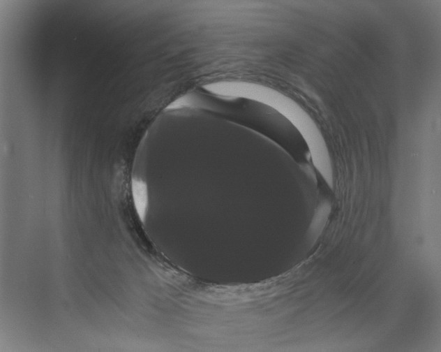 X0000071900029200608041354