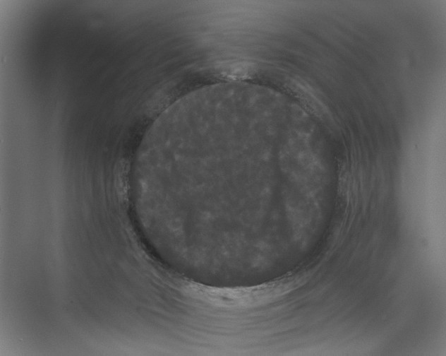 X0000071900030200608041354