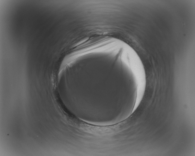 X0000071900031200608041354