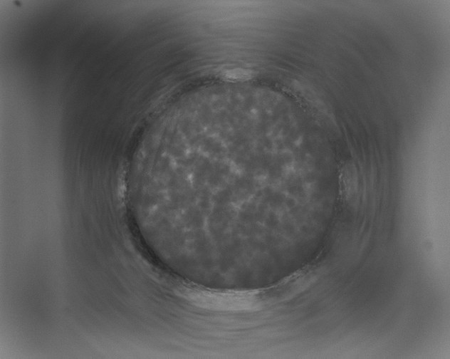 X0000071900032200608041354