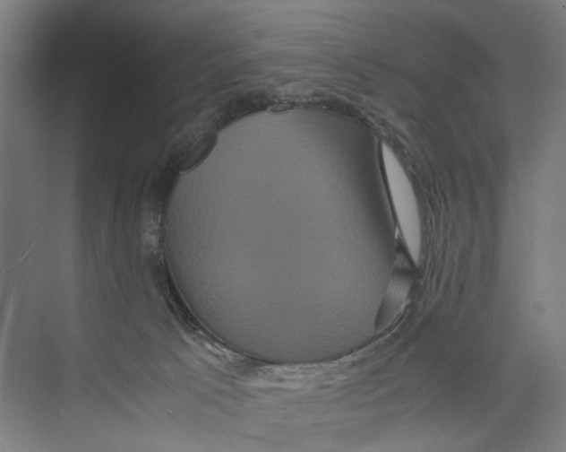 X0000071900033200608041354