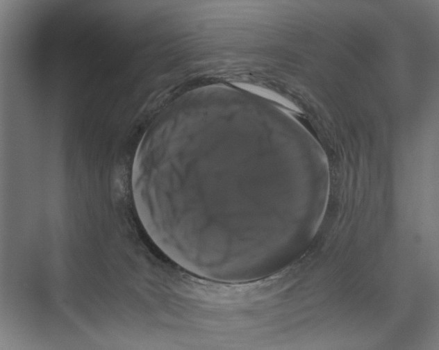 X0000071900035200608041354