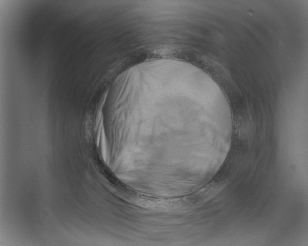 X0000071900036200608041354