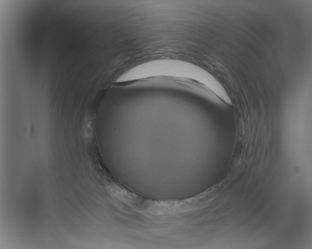 X0000071900037200608041354