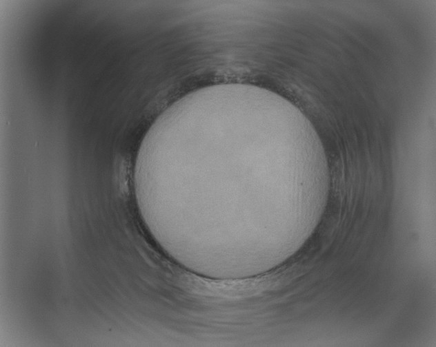 X0000071900038200608041354