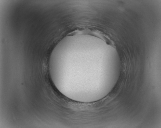 X0000071900040200608041354