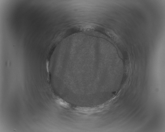 X0000071900041200608041354