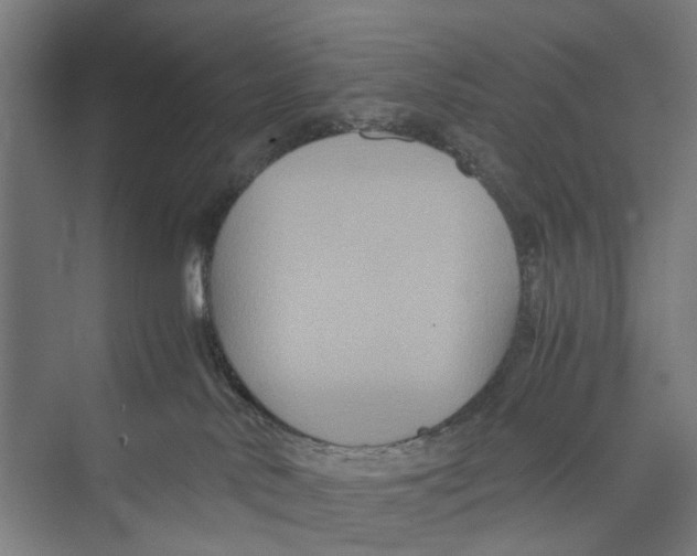 X0000071900042200608041354