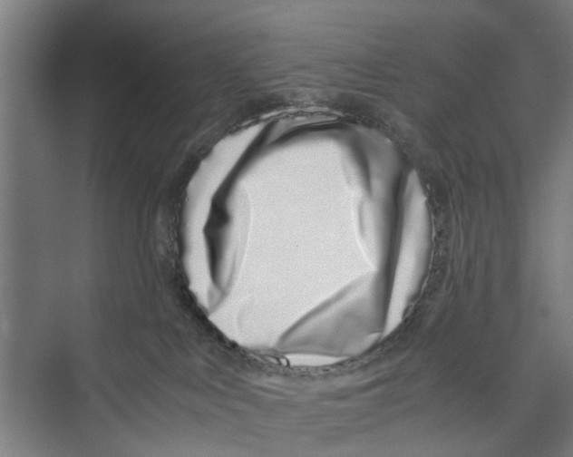 X0000071900043200608041354