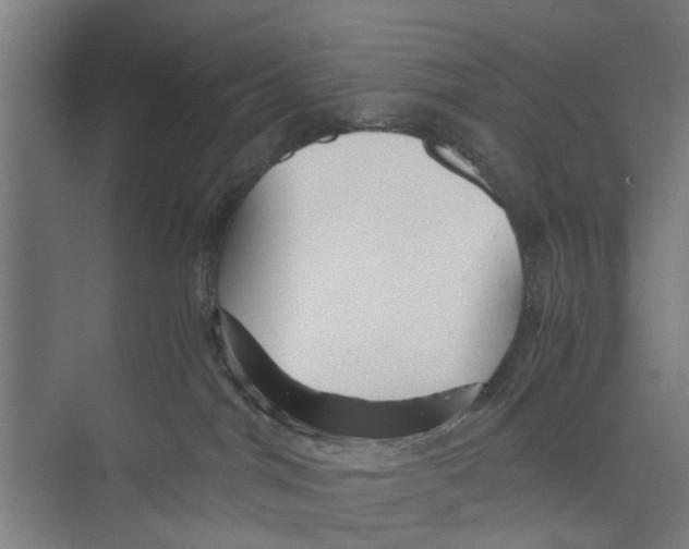 X0000071900044200608041354