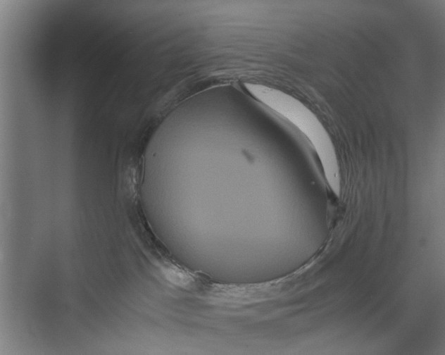 X0000071900045200608041354