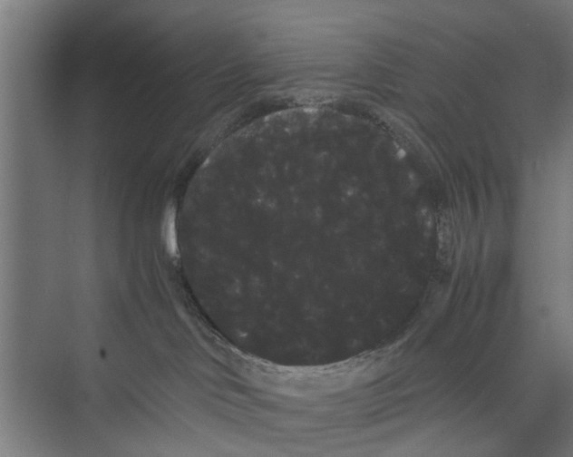 X0000071900046200608041354