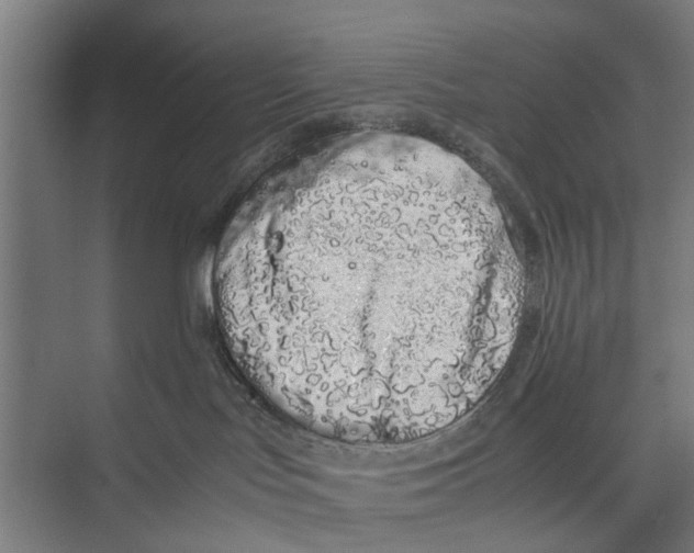 X0000071900047200608041354