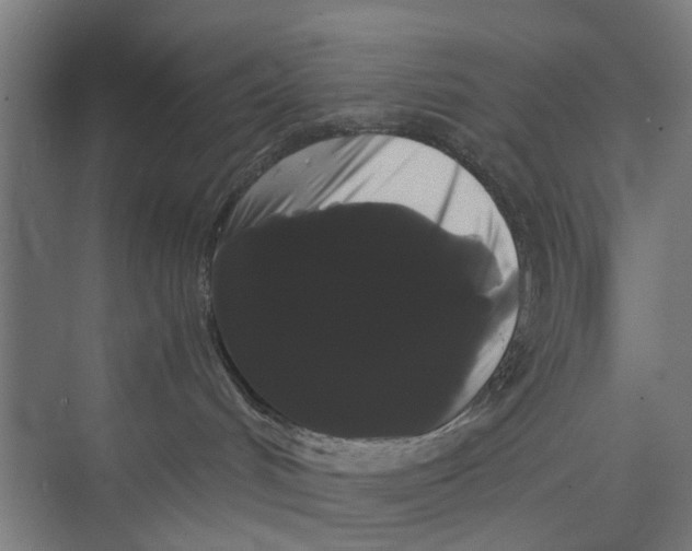 X0000071900048200608041354