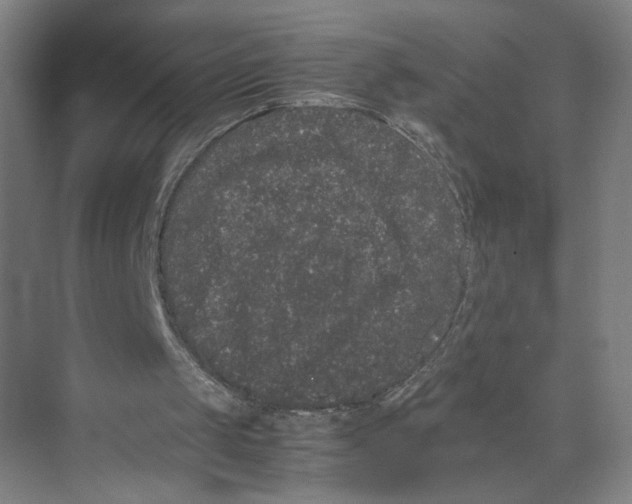 X0000071900049200608041353