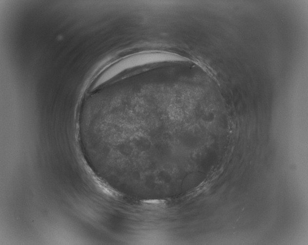 X0000071900053200608041353