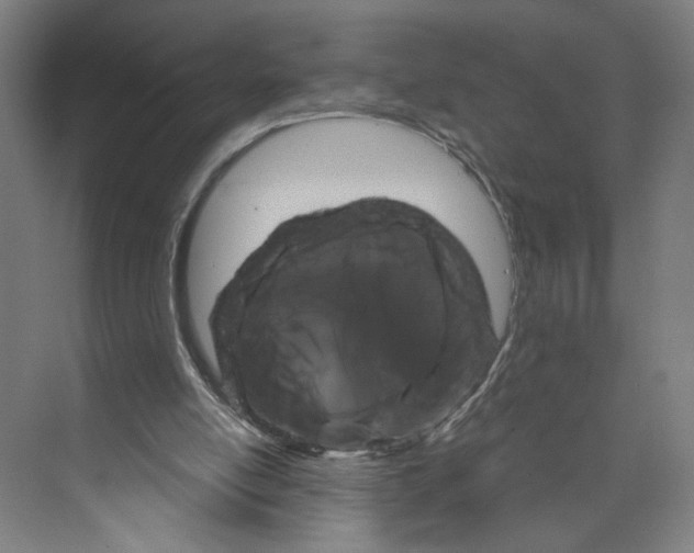 X0000071900054200608041353