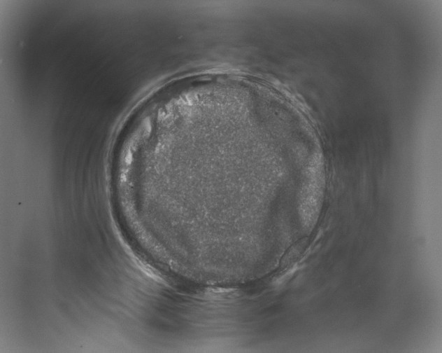 X0000071900055200608041353