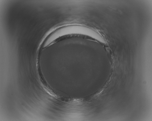 X0000071900056200608041353