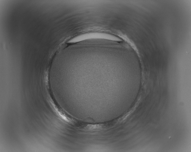 X0000071900057200608041353