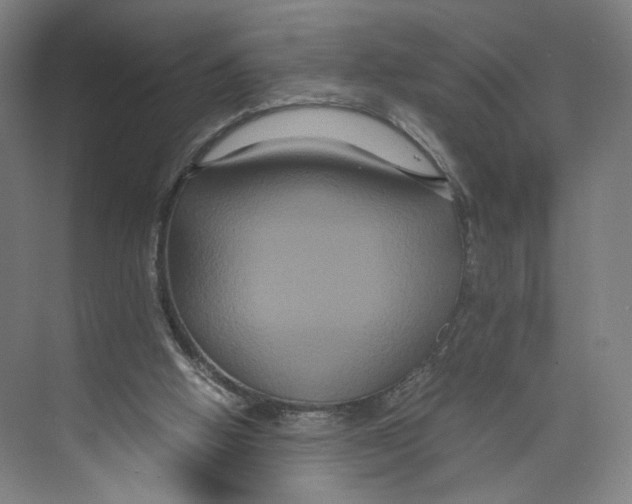 X0000071900058200608041353