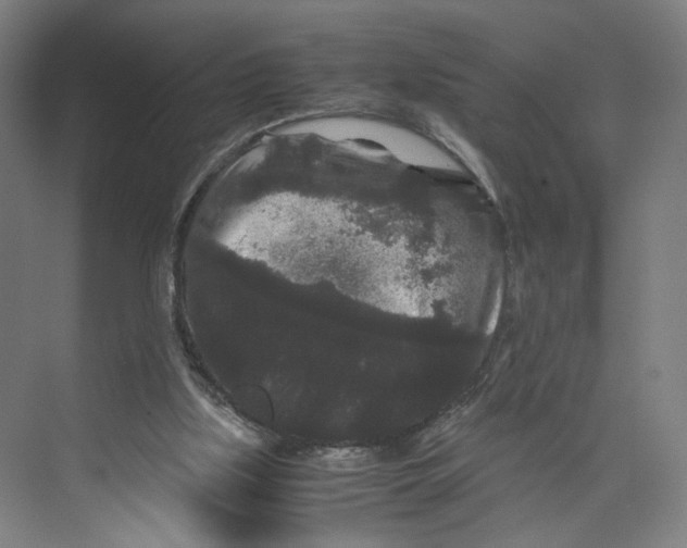 X0000071900059200608041353