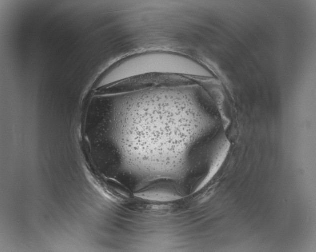 X0000071900060200608041353