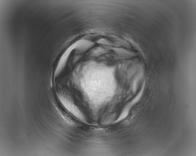 X0000071900062200608041353