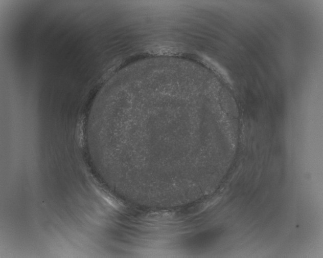 X0000071900065200608041353