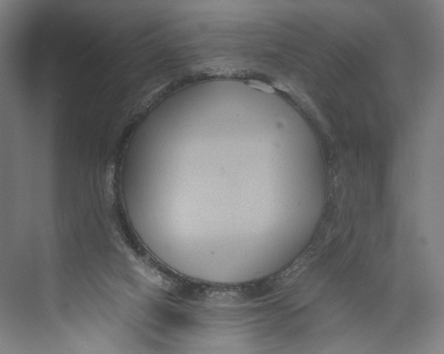 X0000071900066200608041353