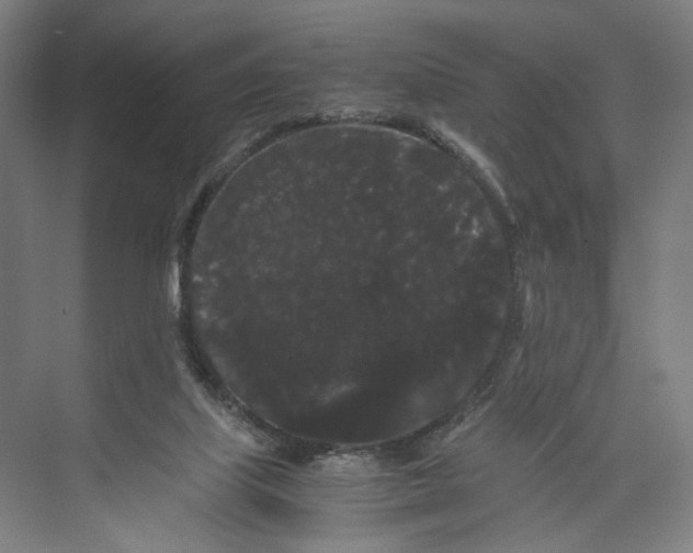 X0000071900067200608041353