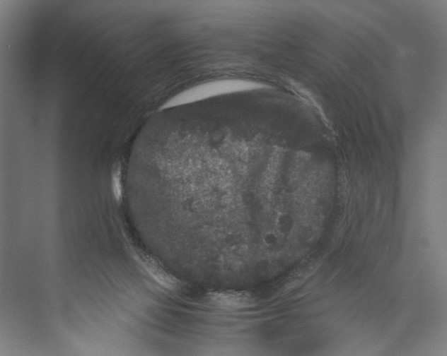 X0000071900069200608041354